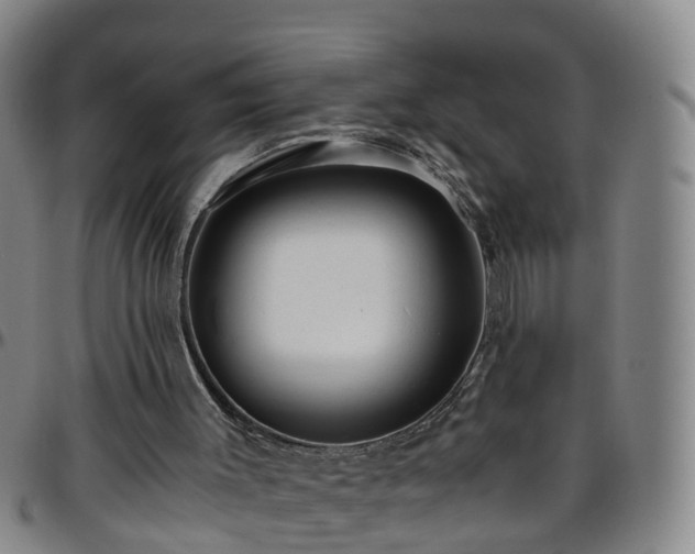 X0000096400003200801311401