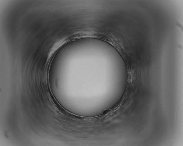 X0000096400004200801311401