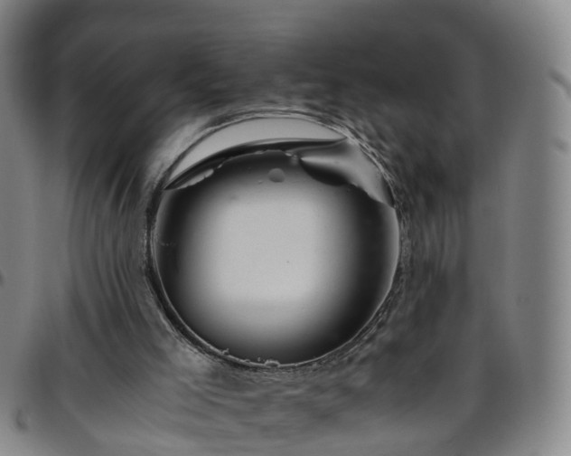 X0000096400005200801311401