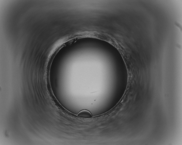 X0000096400006200801311401