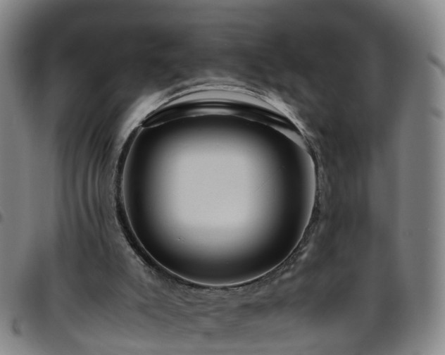 X0000096400007200801311401