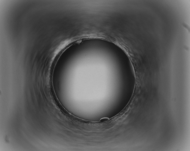 X0000096400008200801311401