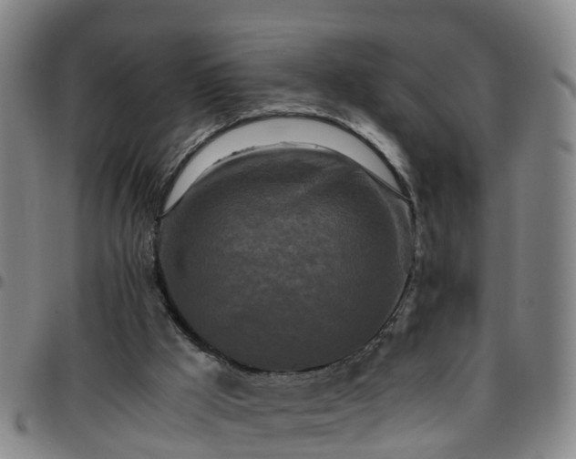 X0000096400009200801311401