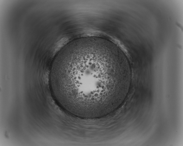 X0000096400010200801311401