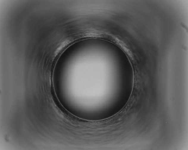 X0000096400011200801311401