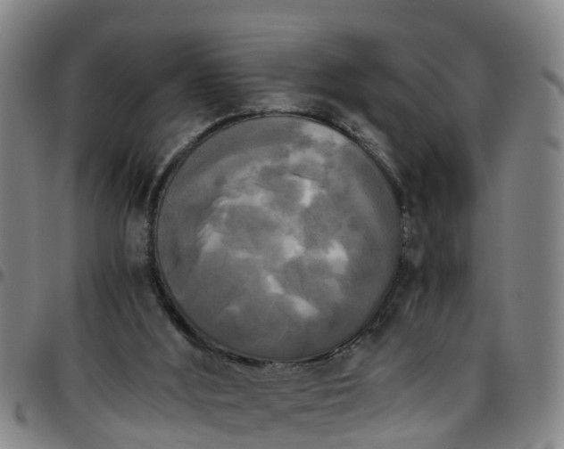 X0000096400012200801311401