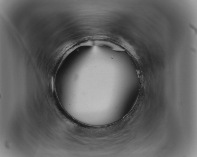 X0000096400013200801311401