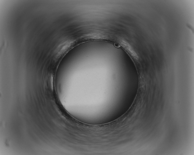 X0000096400014200801311401