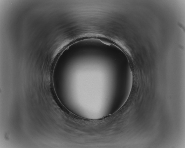 X0000096400015200801311401