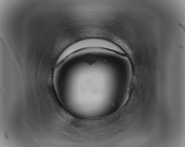 X0000096400017200801311401