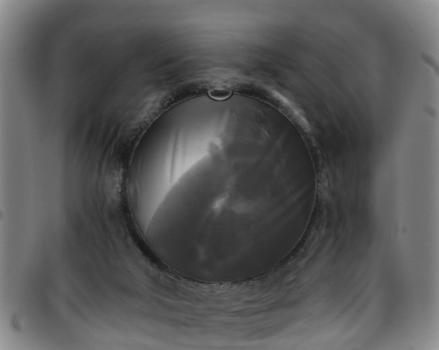 X0000096400018200801311401