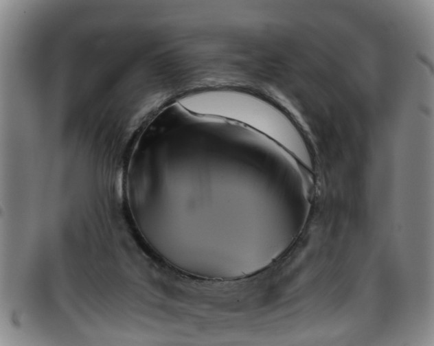 X0000096400019200801311401