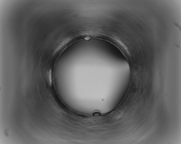 X0000096400020200801311401