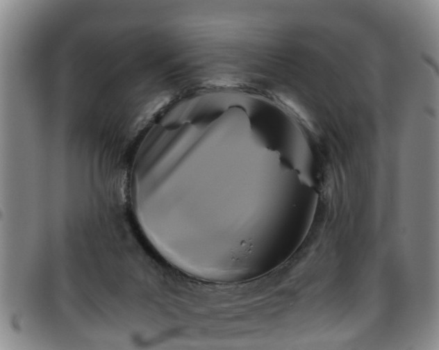 X0000096400023200801311401