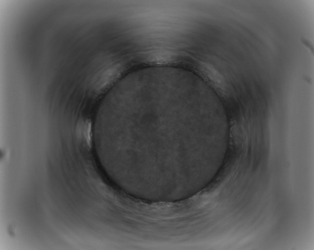 X0000096400024200801311401