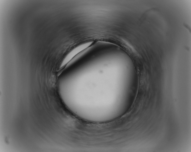 X0000096400025200801311401