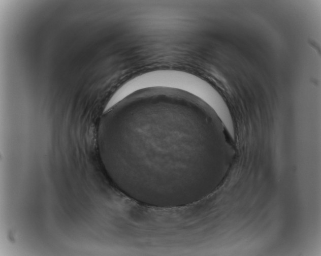 X0000096400029200801311401