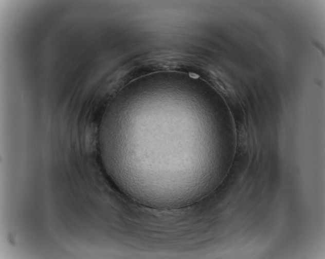 X0000096400030200801311401