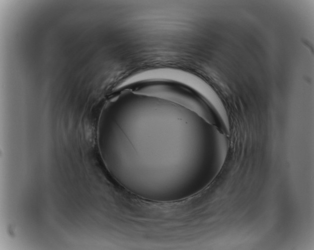 X0000096400031200801311401