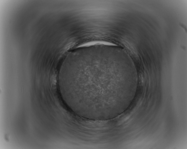 X0000096400032200801311401