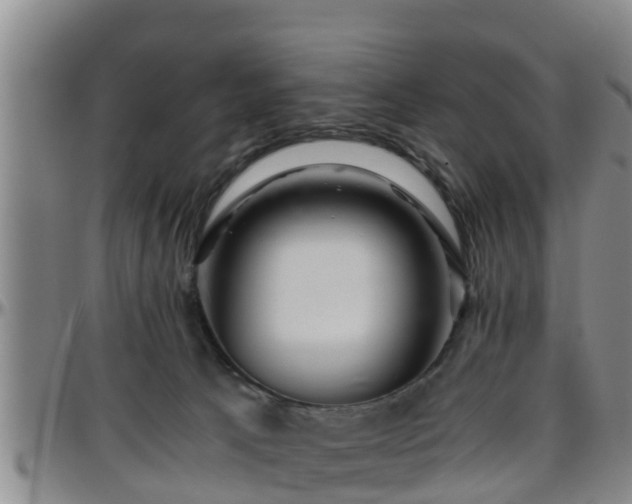 X0000096400033200801311401