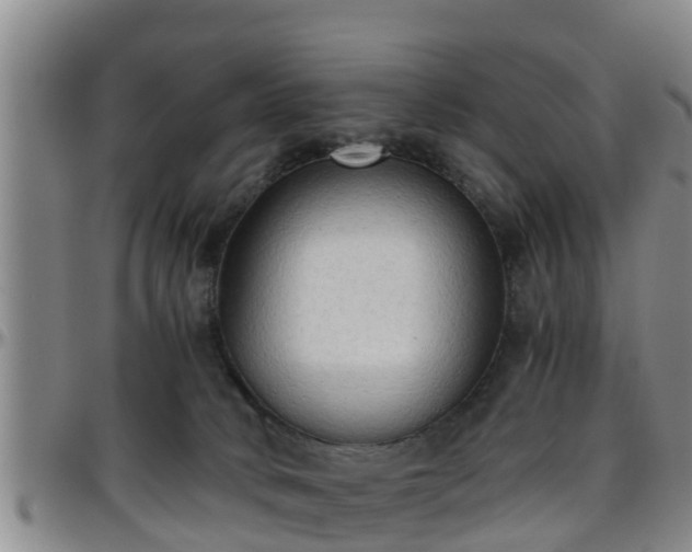 X0000096400034200801311401