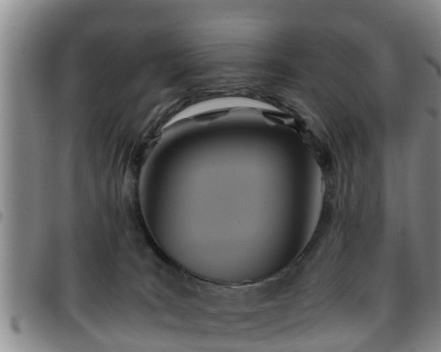 X0000096400035200801311401