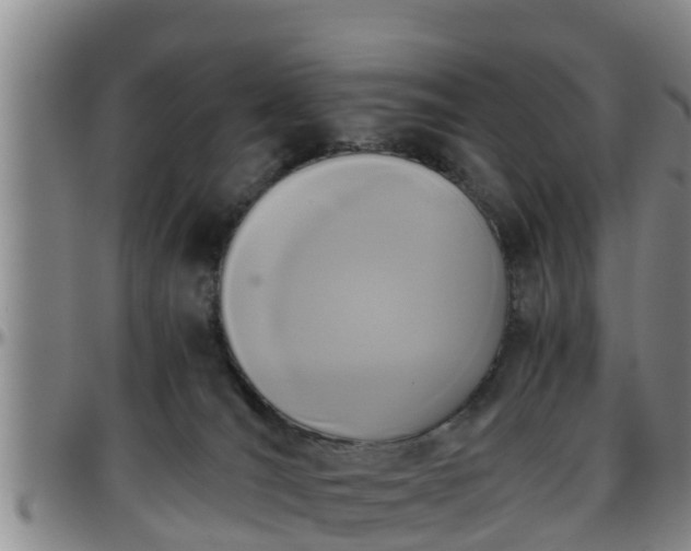 X0000096400036200801311401