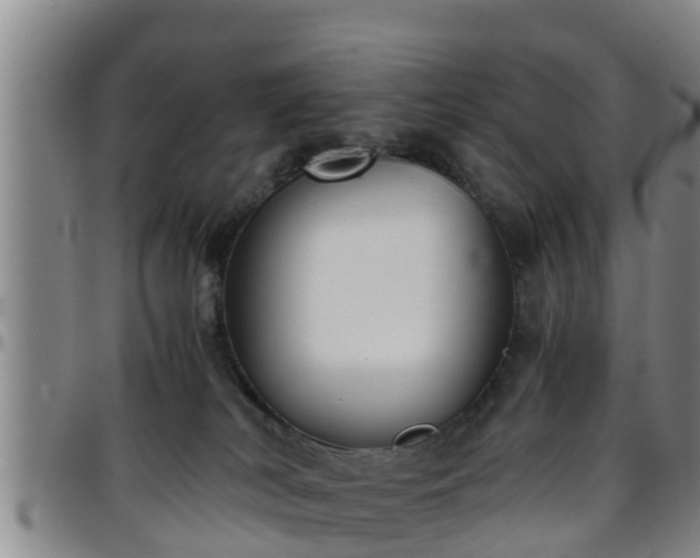 X0000096400038200801311401