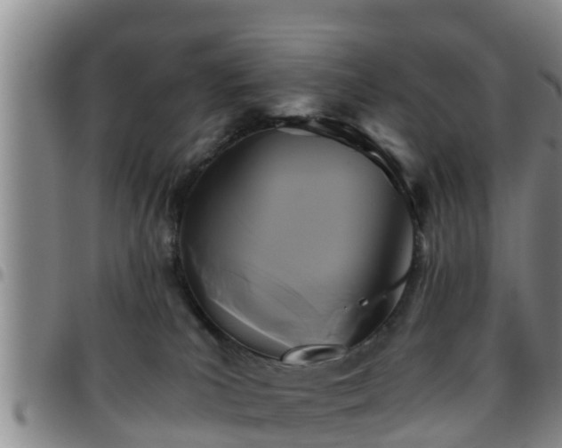 X0000096400039200801311400