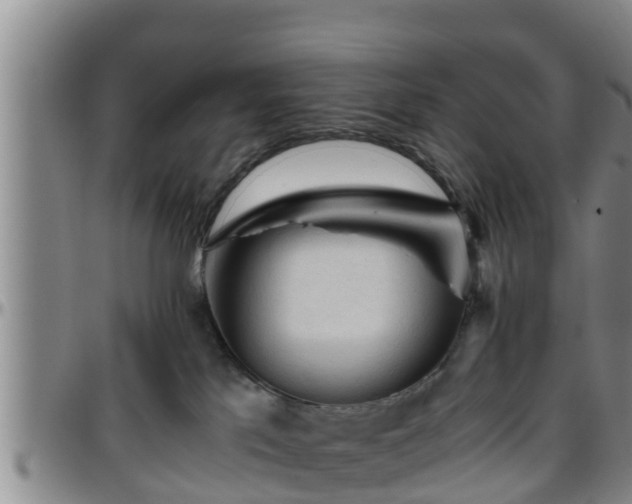 X0000096400041200801311400