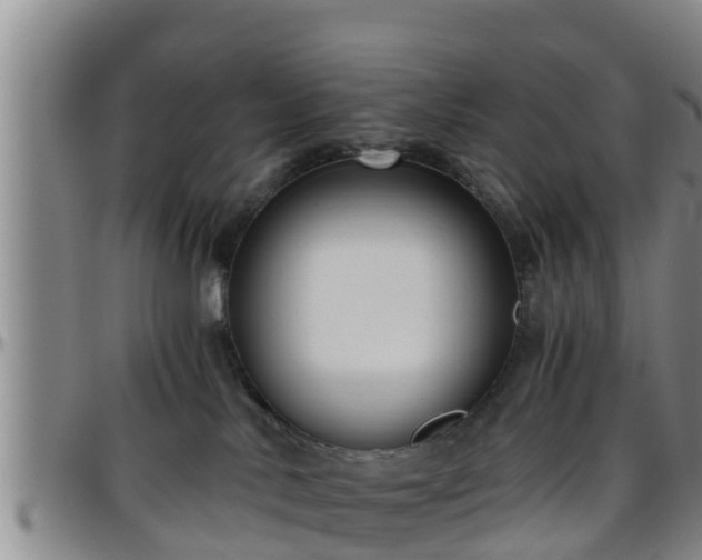 X0000096400042200801311400