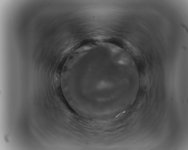 X0000096400043200801311400