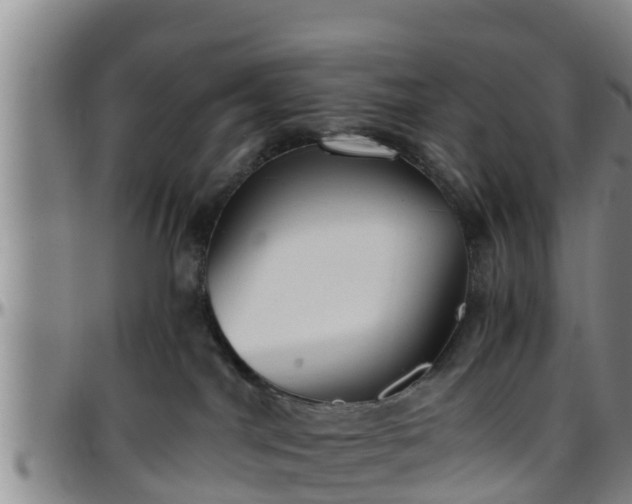 X0000096400044200801311400