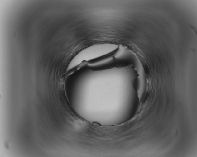 X0000096400045200801311400