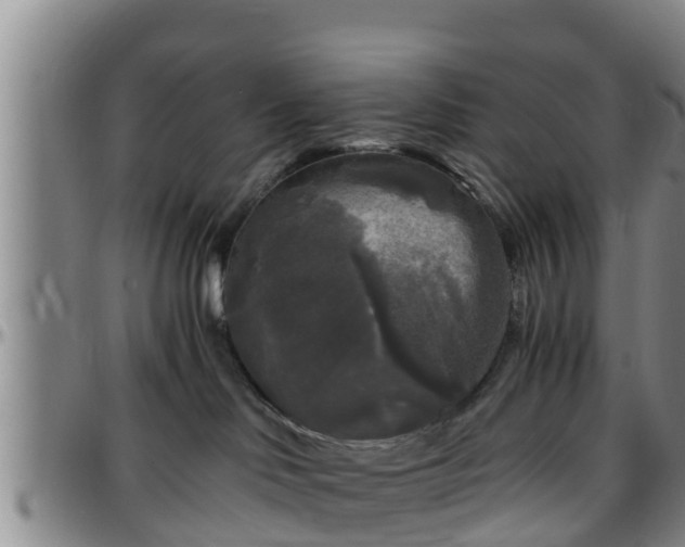 X0000096400046200801311400