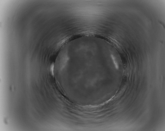 X0000096400047200801311400