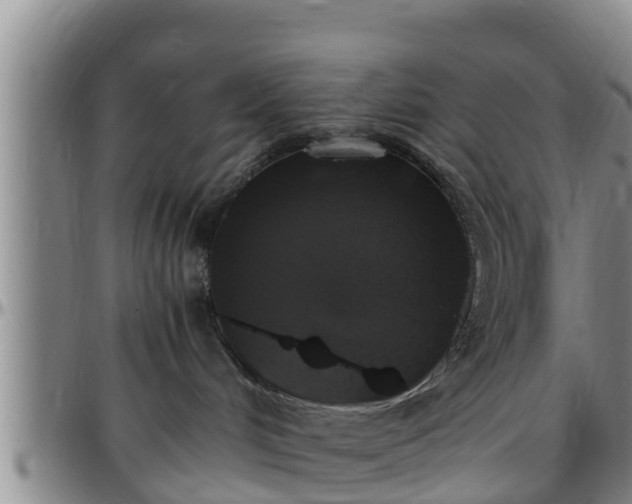 X0000096400048200801311400