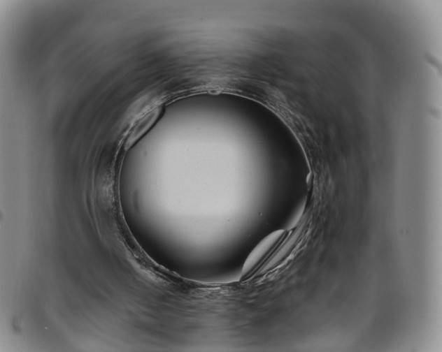 X0000096400050200801311400