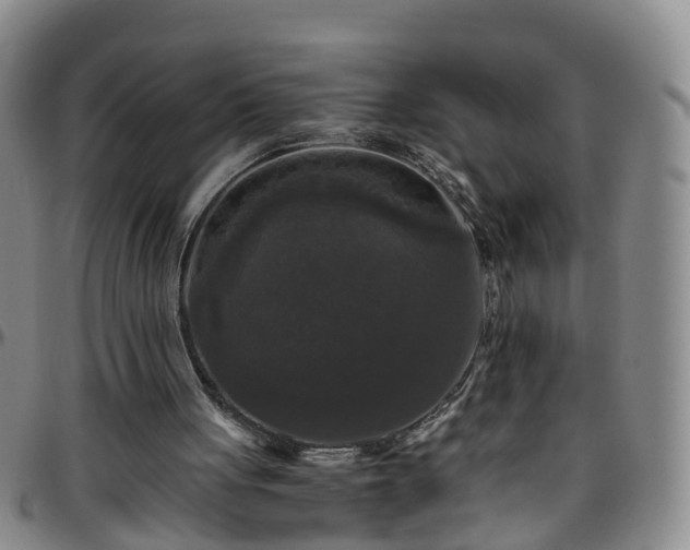 X0000096400051200801311400