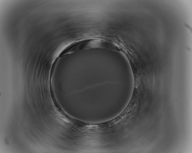 X0000096400052200801311400