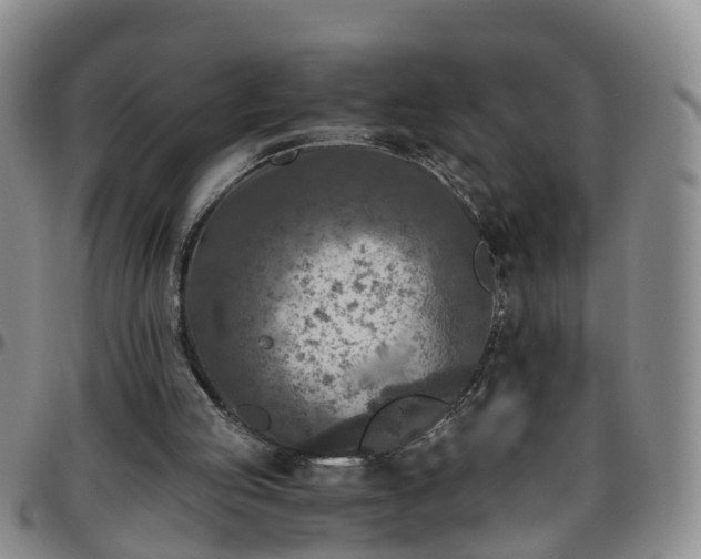 X0000096400053200801311400