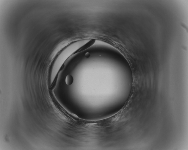 X0000096400054200801311400