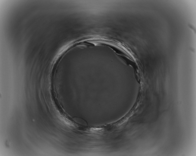 X0000096400055200801311400