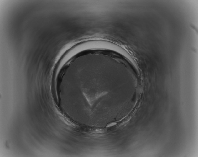 X0000096400056200801311400