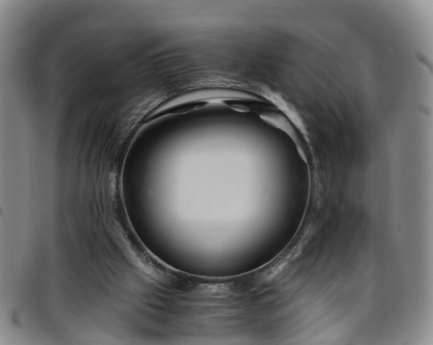 X0000096400057200801311400