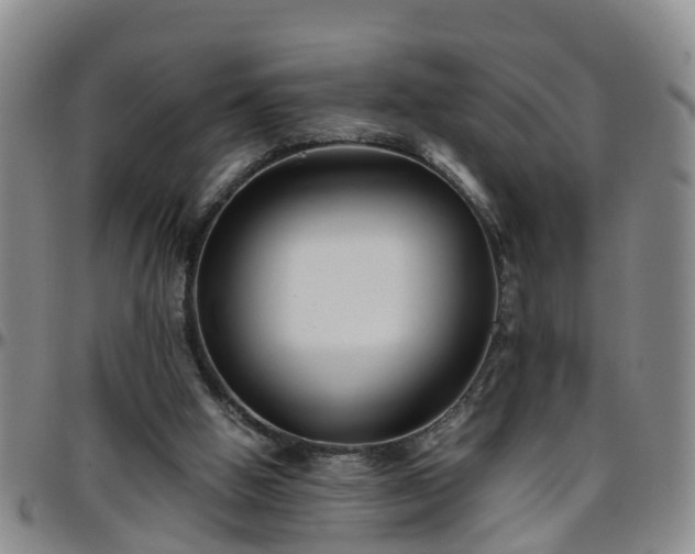 X0000096400058200801311400