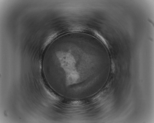 X0000096400059200801311400