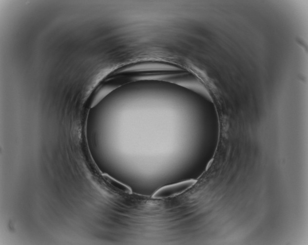 X0000096400060200801311400