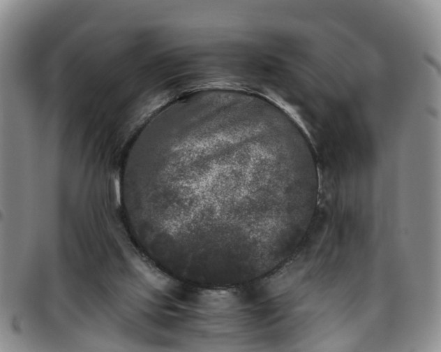 X0000096400061200801311400